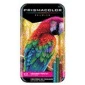 Lápices Prismacolor Premier 12 colores